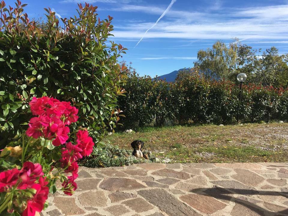 Agriturismo Al Franet Tremosine Екстер'єр фото